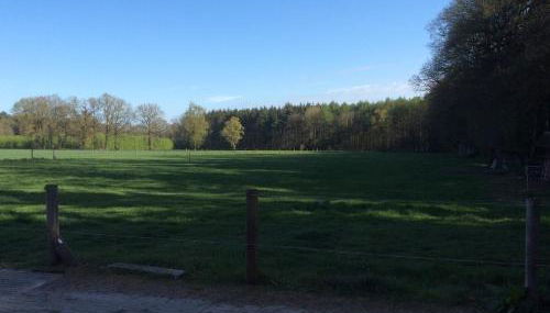Ferienwohnung am Mühlendamm - Foto 5