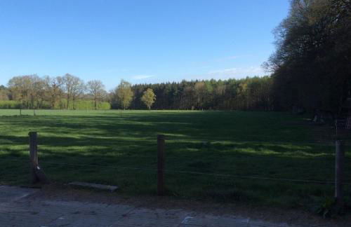 Ferienwohnung am Mühlendamm - Foto 5