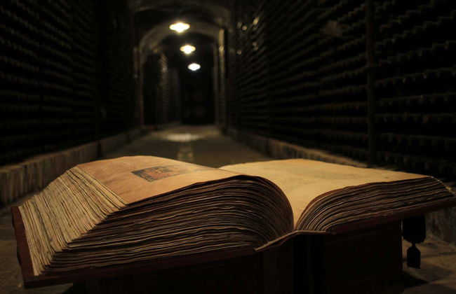 Bodegas Vinícola Real Tour - Photo 6