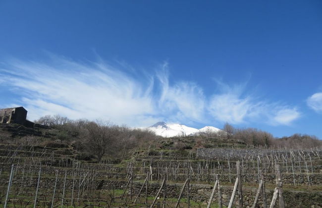 Le Case del Merlo - Foto 46