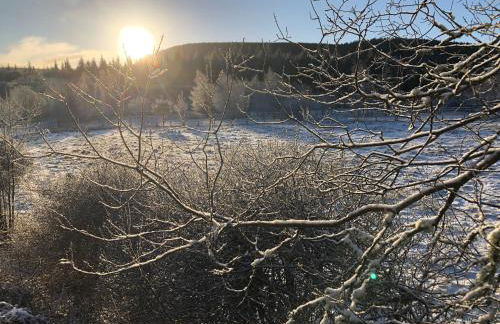 Tanar View - Photo 21