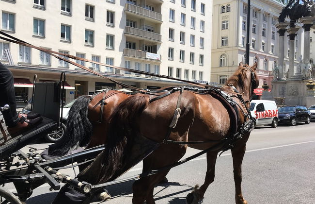 Heart of Vienna Hoher Markt - Photo 51