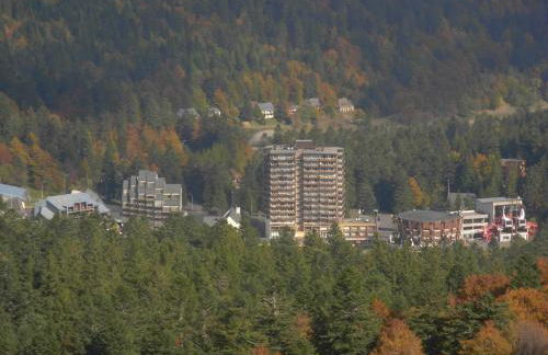 Vacances au pied des Monts du Cantal - Photo 11