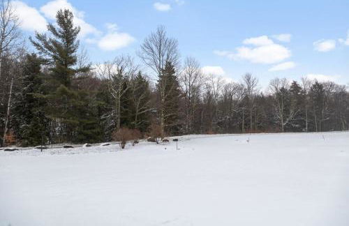 Smuggler's Notch Mountain House with hot tub & river - Foto 52