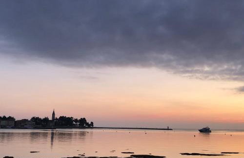 App Sorgo - Photo 62