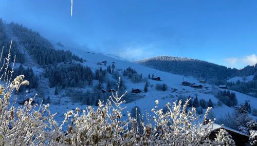 Appartement cosy au pied des pistes - Foto 4