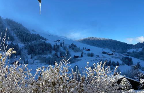 Appartement cosy au pied des pistes - Foto 4