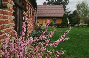 Domek na wsi Wiejsko Czarodziejsko - Agroturystyka Podlasie - Foto 75