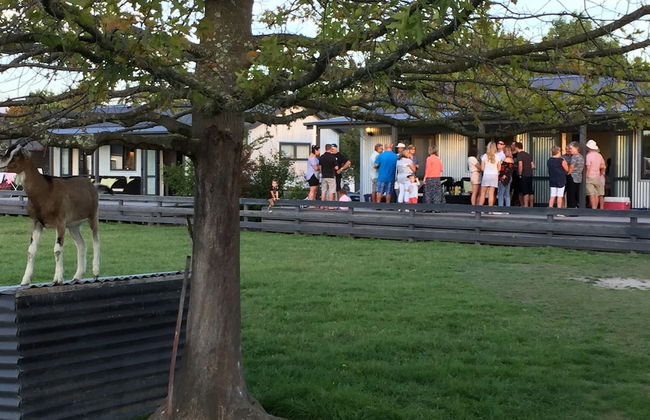 Cottages on St Andrews - Foto 49