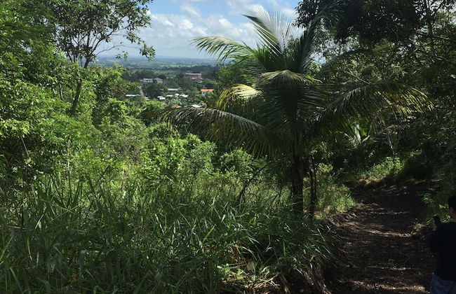 Santa Cruz Cabins - Foto 18