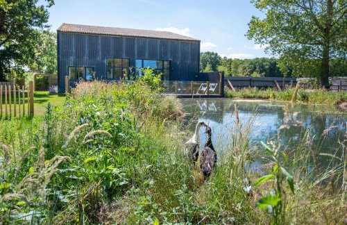 5 Bed in Briston oc-2304 - Photo 4