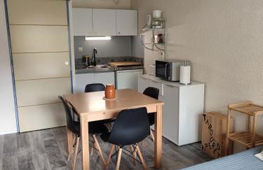 Pla d' Adet, appart 4 personnes Résidence le Grand Stemm , station de ski Saint Lary , pieds des pistes et randonnées - Photo 3