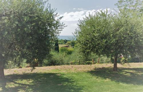 Al Vajo Dependance - Apartments-Zimmer - Foto 6