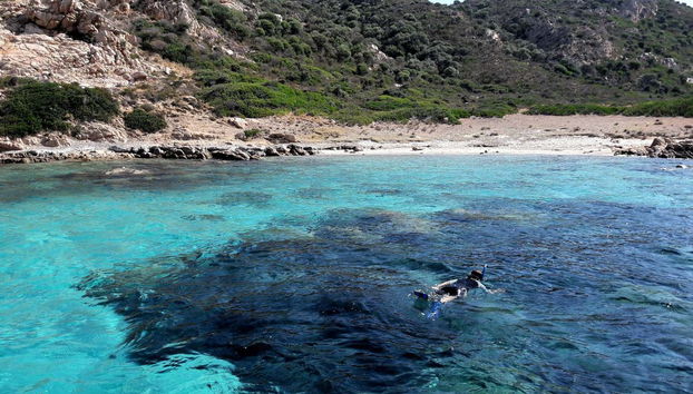 Una joven haciendo snorkel en las aguas de Tavolara