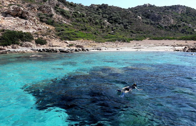 Snorkel na Área Marinha Protegida de Tavolara - Foto 2