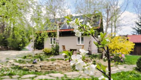 Dom nad Potokiem z sauną - Foto 4, Garden, Garden view