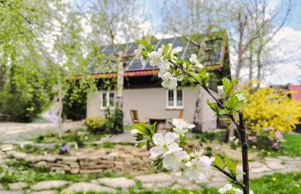 Dom nad Potokiem z sauną - Foto 4