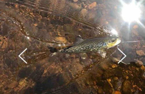 Lovely peaceful 2 bed cottage - Foto 23