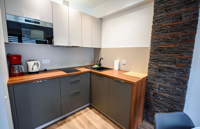 Apartamenty Sun & Snow Zielony Zdrój - Foto 69