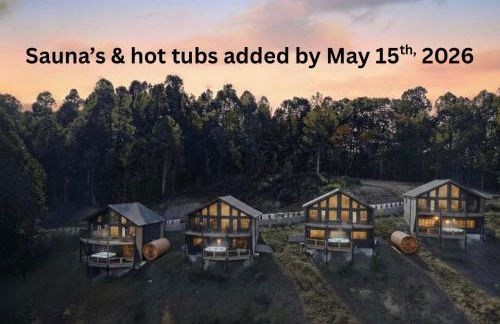 Golden Dawn at Saluda Mountain Retreats - Photo 52