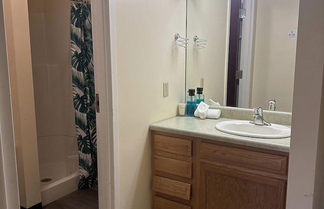 2 Bedroom 2 Bath Apartment Heart of Downtown PIT - Foto 14