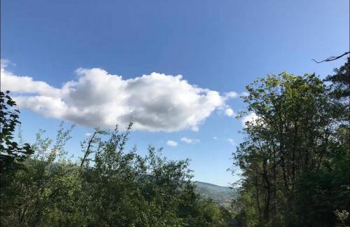 Flying Scotsman Unique Carriage Pet Friendly! Lazy Spa can be available upon request with additional cost of 40 - Foto 36