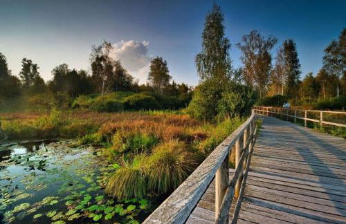 Ferienwohnung Schlaich - Foto 12