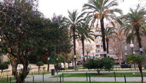 Apartamento Ecuador Cadiz a un minuto andando de la playa y a seis del casco antiguo - Foto 2, Garden