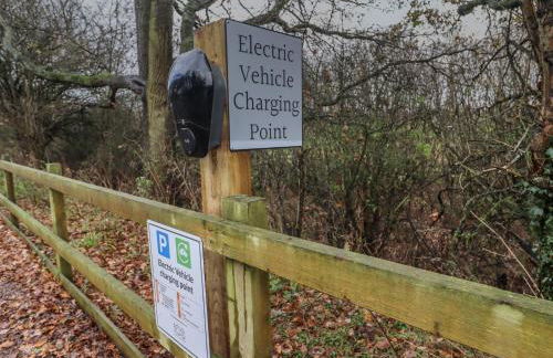 The Tunnel at Bridge Lake Farm and Fishery - Foto 48