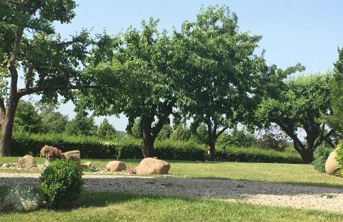 Haus Masur - Photo 37