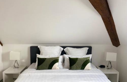 Les Rives des Habsbourg - Foto 49