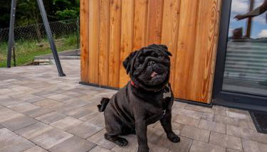 Domek nad Piwniczną - Foto 5