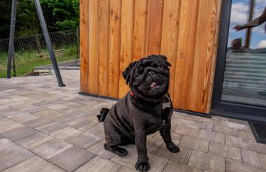 Domek nad Piwniczną - Foto 5