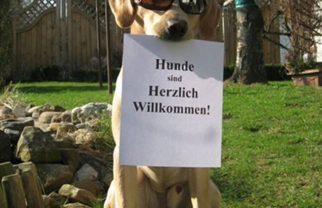 Taunusblick Ferienwohnung und Apartment - Photo 13