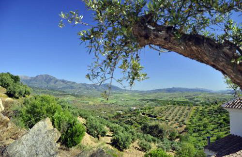 B&B Hacienda Guaro Viejo - Foto 24