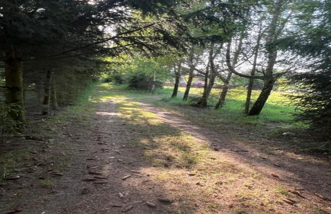 Holiday Home Near Forest and Lake in Pomeranian - Photo 33