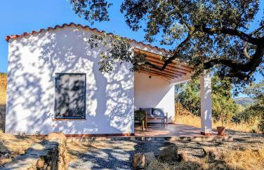 Finca Bravo - Foto 12