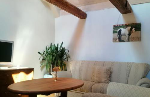 Bauernhof Lisa Offenstall und Taubenschlag - Foto 5