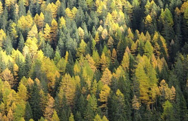 LuxLax 2. OG Süd - Foto 44