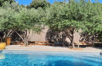 Villa en Provence piscine au calme entre Arles Nîmes Avignon - Foto 10