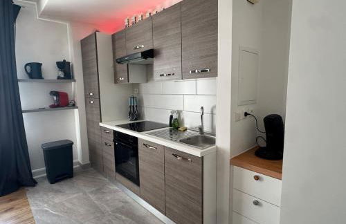 Le colibri au pied des ballons des Vosges - Foto 7