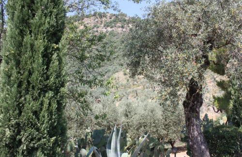 Azienda Agrituristica Le Puzelle - Photo 93