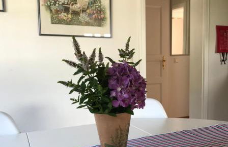 Ferienwohnung HOLO - Foto 2