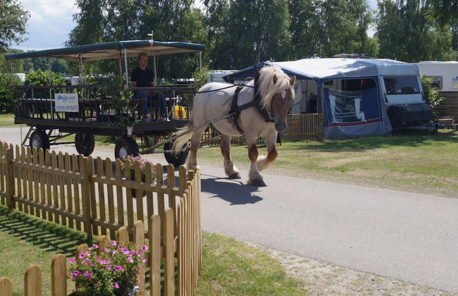 Tingsryd Resort - Foto 58