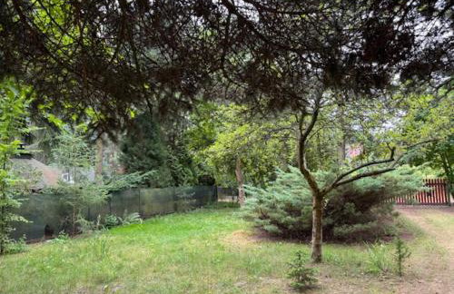 Charming Forest Home near Warsaw - Photo 3