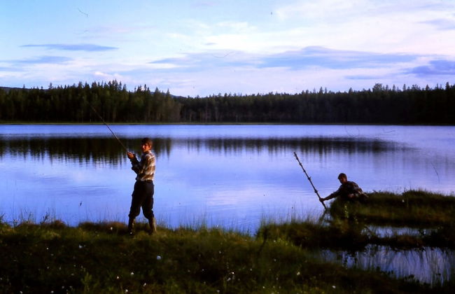 Forest Retreat w/ Sauna - Foto 34