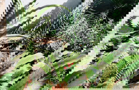 The Seagull Hermanus - Foto 45