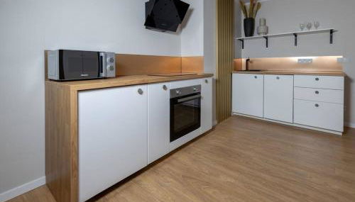 Design & Relax #Altstadt #Sauna - Foto 5, stove, dishwasher, pet friendly, minibar