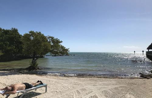 Tropical Daze Oceanfront Paradise - Foto 19