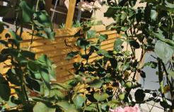 Lyon superbe jacuzzi vue sur jardin - Foto 13